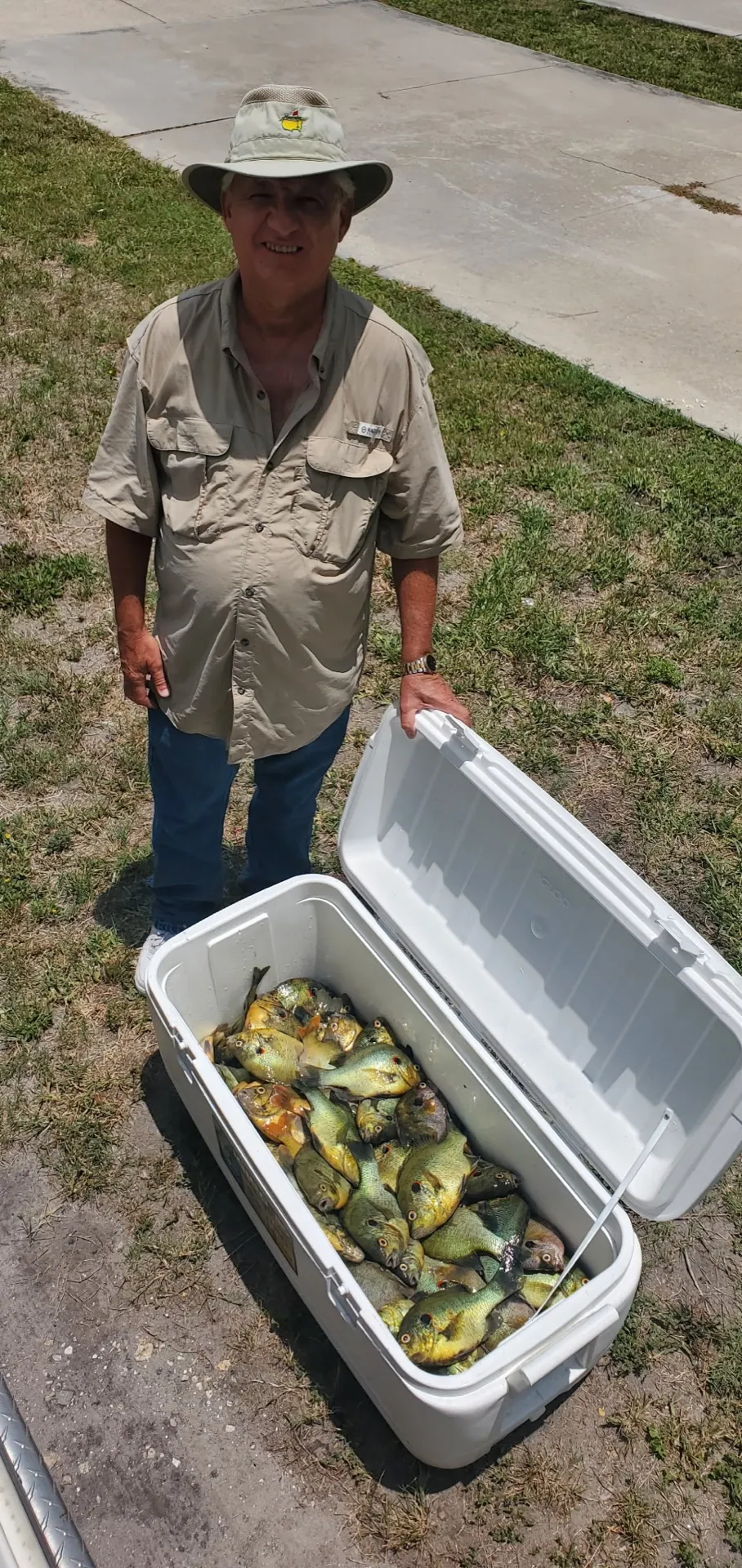 A cooler full of big bluegill