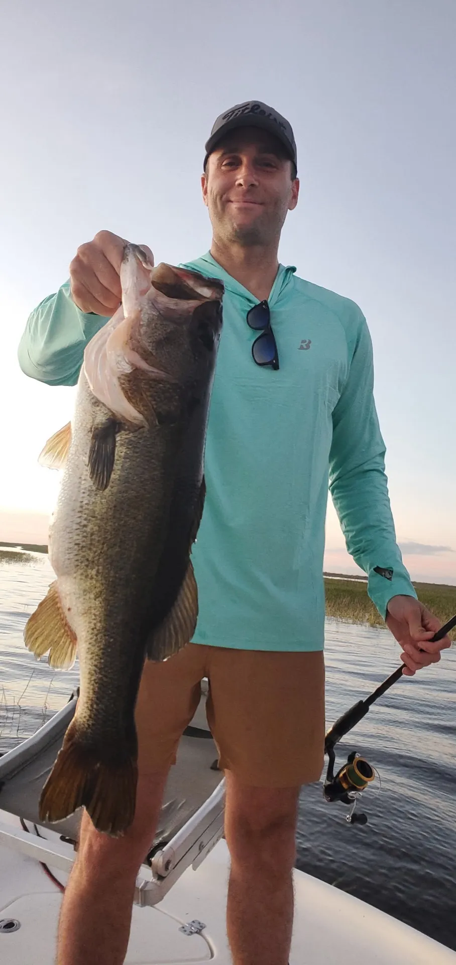 A heavy bass in the dawn glow